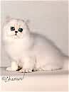 Marmews Mutza